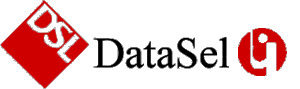 DataSel Logo